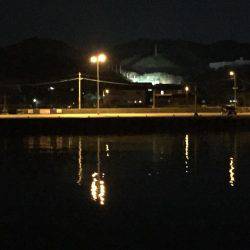 はじめてのヒラメ