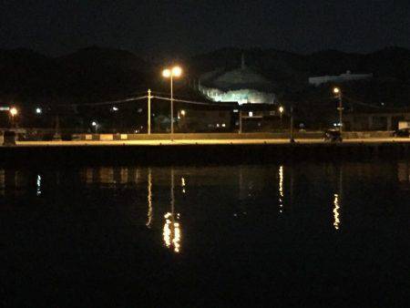 はじめてのヒラメ