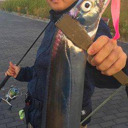 湾奥タチウオ＆アジ