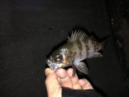 ライトゲーム！