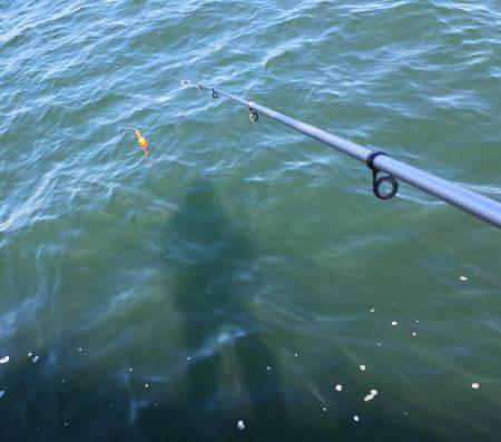 メータータチ二本