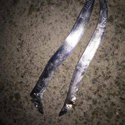 二週続けての人工島