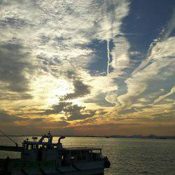 武庫川一文字の朝タチ