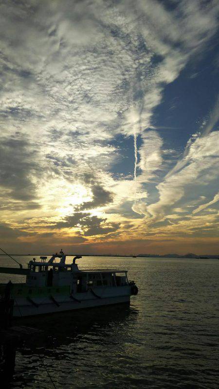 武庫川一文字の朝タチ