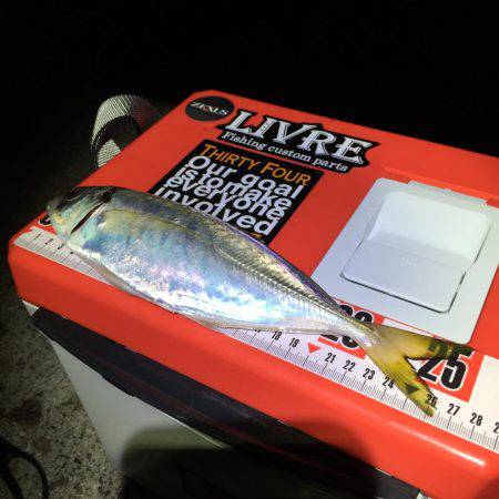 先週 爆風のリベンジ(^^)