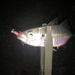 ゲキシブアジング