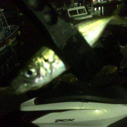 地震後のアジング調査！