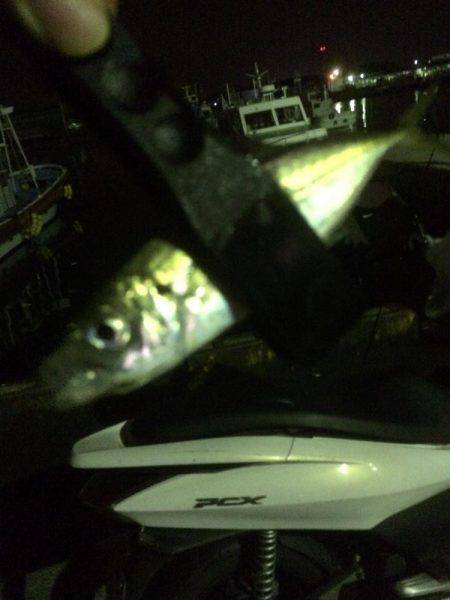 地震後のアジング調査！