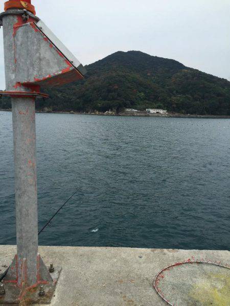 衣奈で久しぶりのカゴ釣り