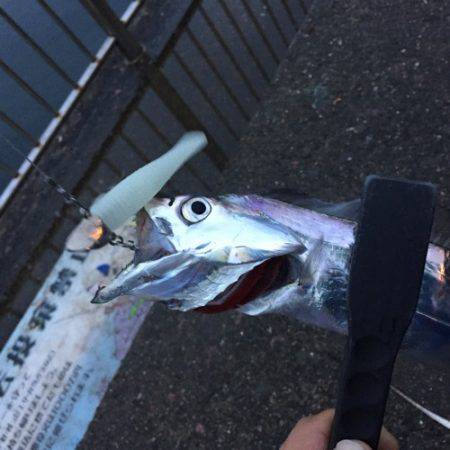 サイズもよく引きも強い