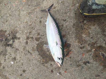 衣奈&由良海釣り公園