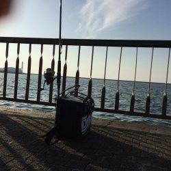 春木ベランダもぼちぼち終盤？