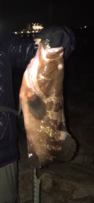 ライトゲーム&ロックフィッシュゲー…