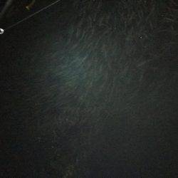 アジングならぬ‥