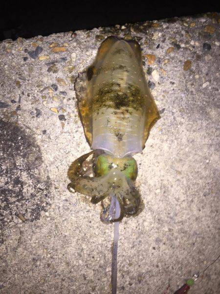 一投目からガッツと(笑)