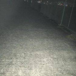 ガシラもいいですや