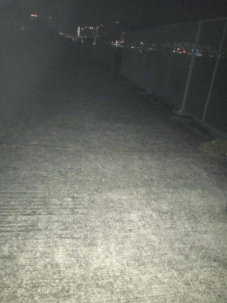 ガシラもいいですや