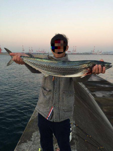 エギ竿からのさわら！