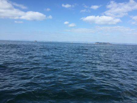 鯛、ハマチ、鯵