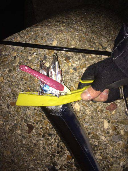 タチウオワインド