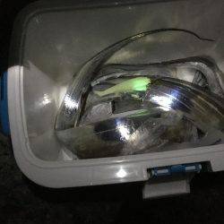 暗くなってから