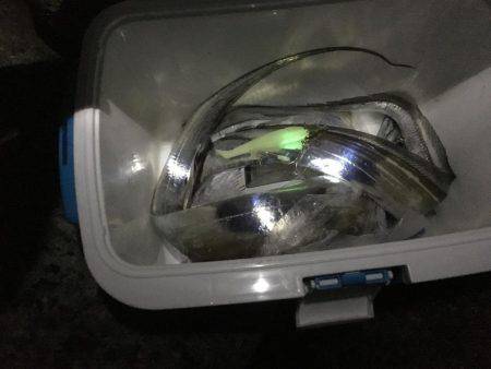 暗くなってから