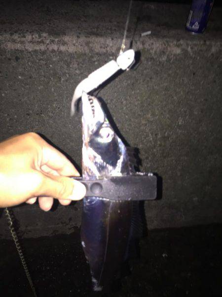 夜のタチウオ釣行