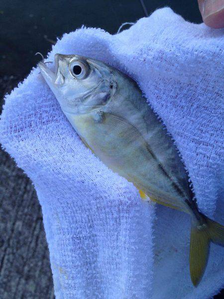 マイクロジグにはマイクロメッキ！