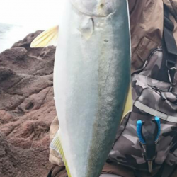 ヒラマサ釣れず・・・