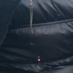 渋い!佐仲ダムワカサギ