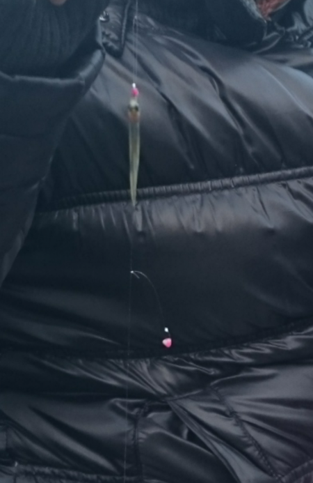 渋い！佐仲ダムワカサギ