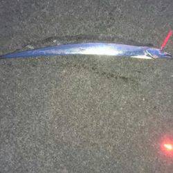 11月突入、気温は下がるが海水温はまだ高め、釣り日和ですね