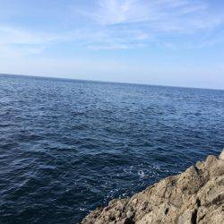 カゴ釣り in 今子浦
