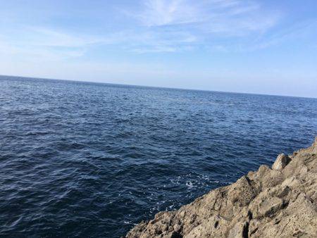 カゴ釣り in 今子浦