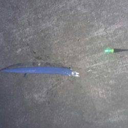 高気圧の影響で週末は、晴れて心地よい釣り日和でした。