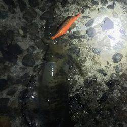 雨の中グッドサイズ