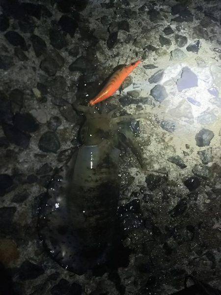 雨の中グッドサイズ