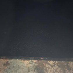 常夜灯リベンジ