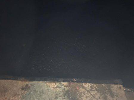 常夜灯リベンジ