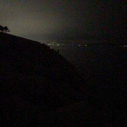 ミノータチウオ