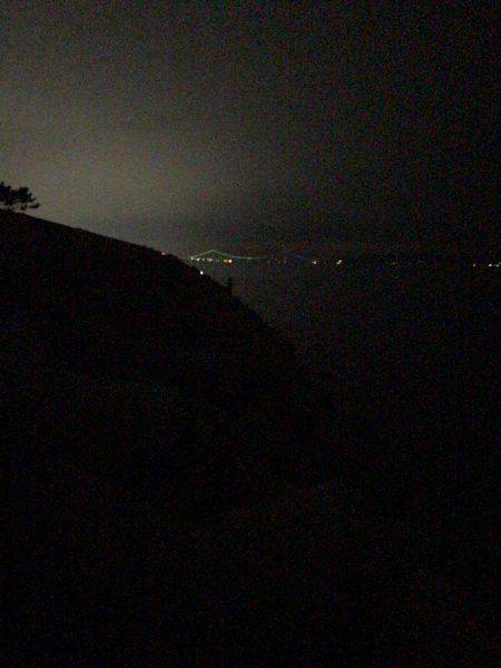 ミノータチウオ