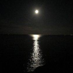 プラッキングタチウオ