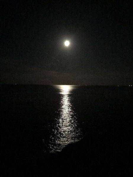 プラッキングタチウオ