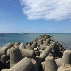 竿が直った記念に日高川河口でヒラメ・シーバス釣り