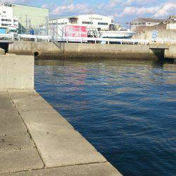 西宮ケーソンサビキ