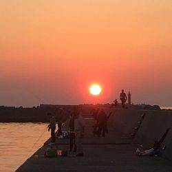 11月突入、気温は下がるが海水温はまだ高め、釣り日和ですね