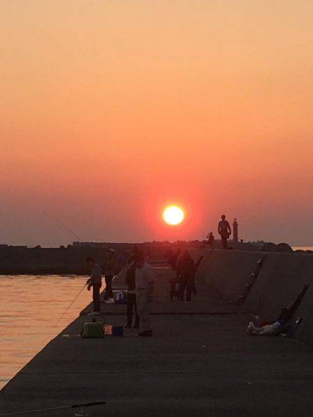 11月突入、気温は下がるが海水温はまだ高め、釣り日和ですね