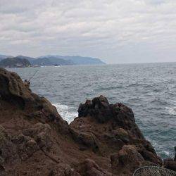 ヒラマサ釣れず・・・