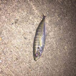 大阪南をランガン