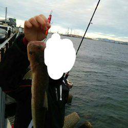 エギングロッドでデカエソ